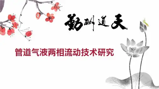 管道气液两相流动技术研究