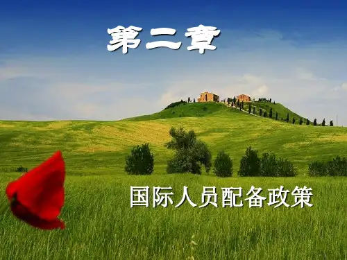 02国际人员配备政策