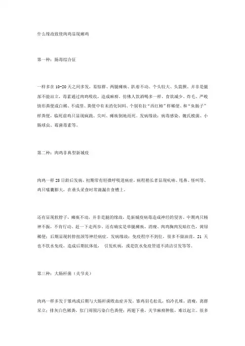 什么缘故致使肉鸡显现瘫鸡