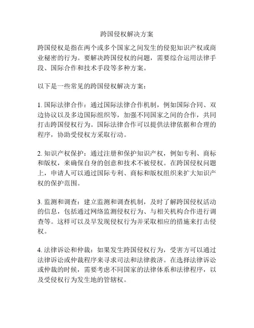 跨国侵权解决方案