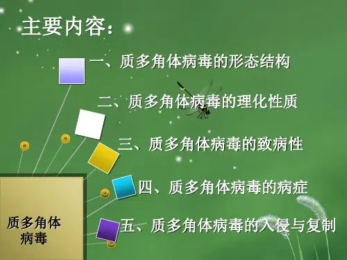 昆虫病理学--昆虫病毒-PPT文档资料