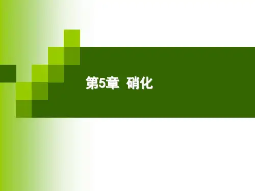 第5章硝化