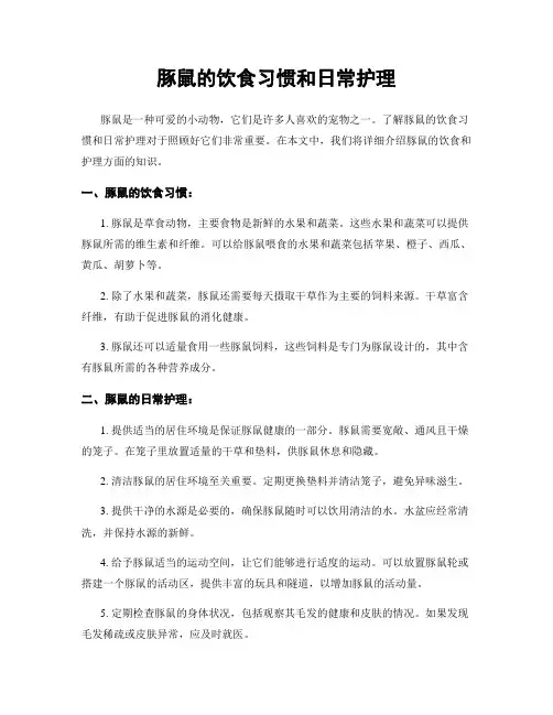 豚鼠的饮食习惯和日常护理