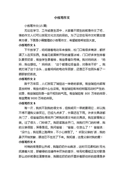 小练笔作文
