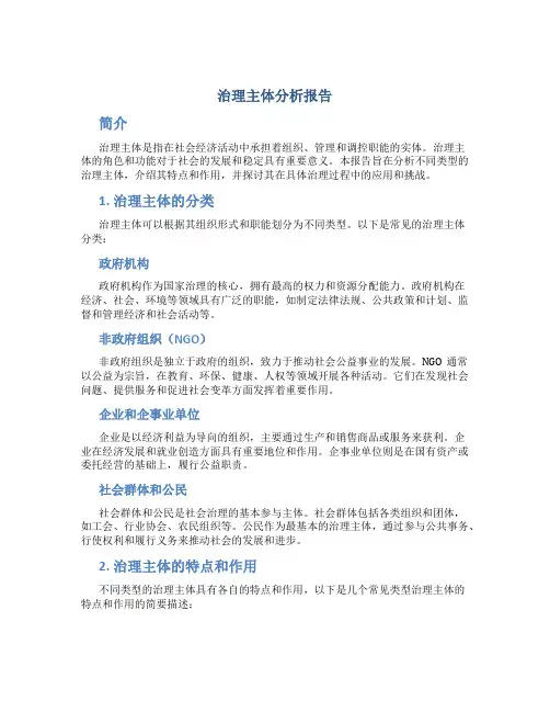 治理主体分析报告