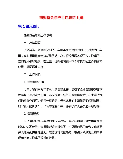 摄影协会年终工作总结5篇