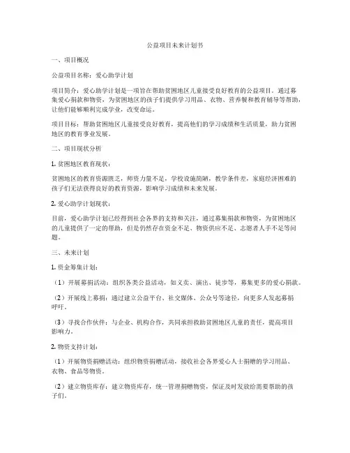 公益项目未来计划书