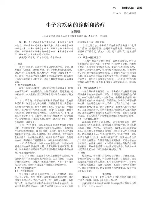 牛子宫疾病的诊断和治疗