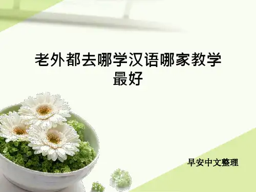 老外都去哪学汉语哪家教学最好