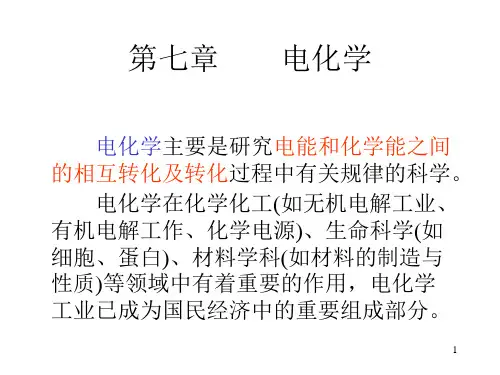 第七章电化学-PPT课件