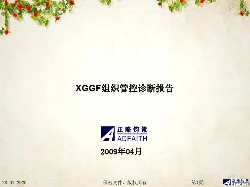 某机械产品集团组织管控诊断报告(PPT 118页)