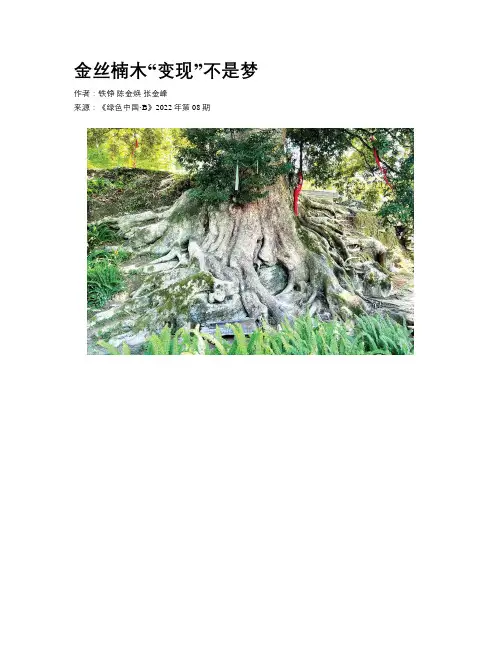 金丝楠木“变现”不是梦