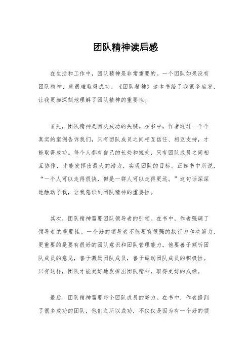 团队精神读后感
