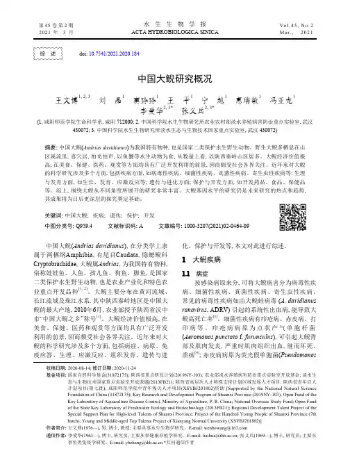 中国大鲵研究概况