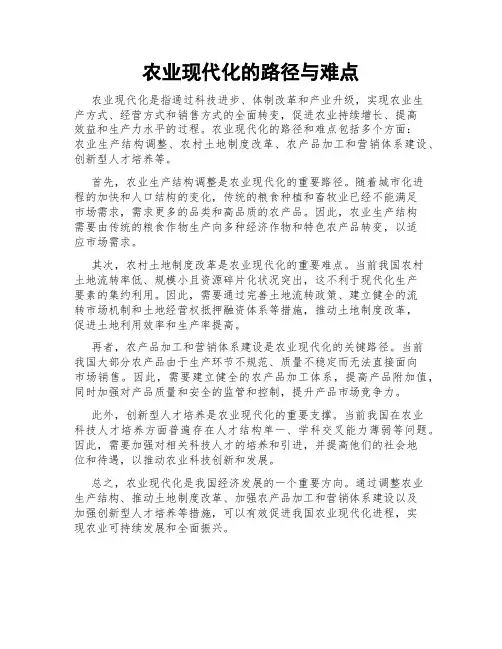 农业现代化的路径与难点