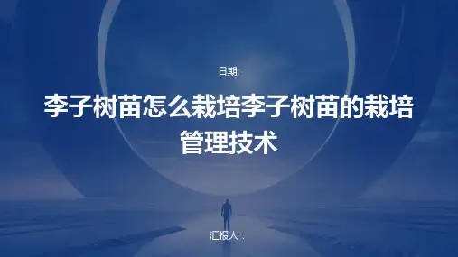 李子树苗怎么栽培李子树苗的栽培管理技术