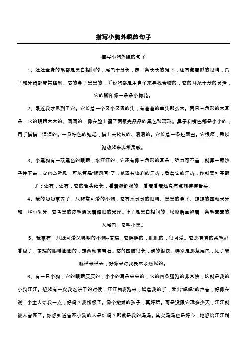 描写小狗外貌的句子