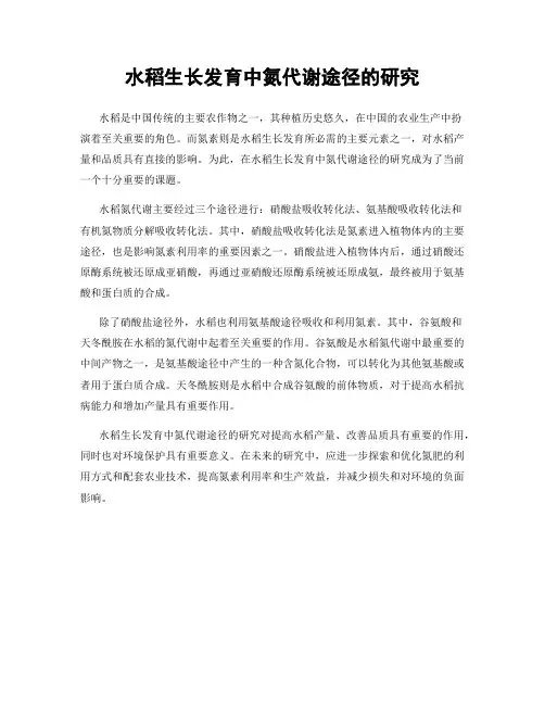 水稻生长发育中氮代谢途径的研究