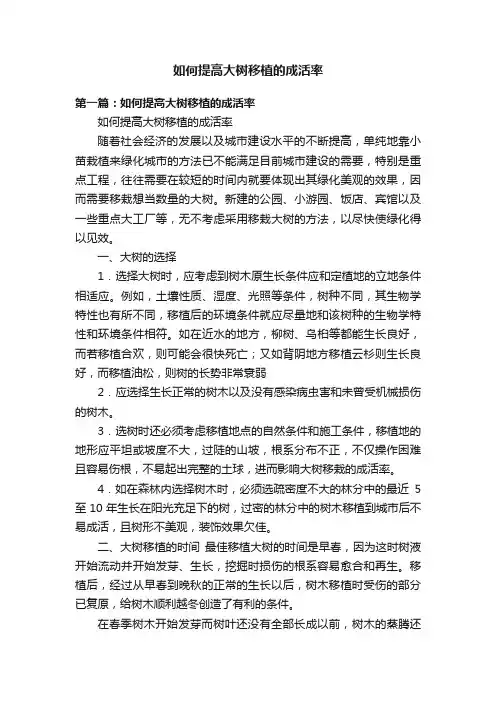 如何提高大树移植的成活率