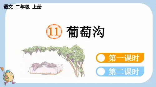 统编版语文二年级上册-11 葡萄沟-教学课件(多篇)