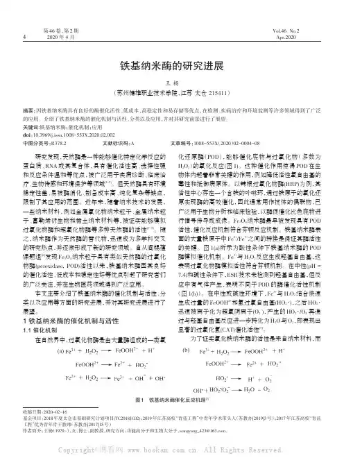 铁基纳米酶的研究进展