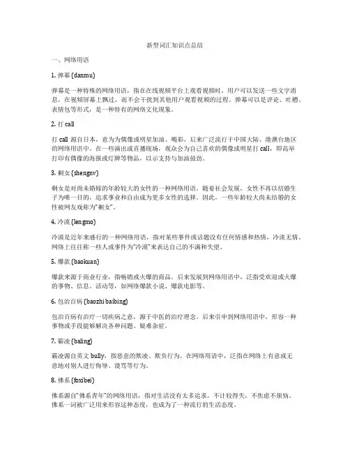 新型词汇知识点总结