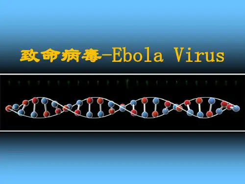 埃博拉病毒简介