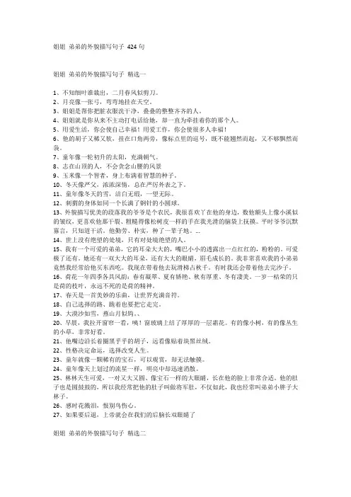 姐姐弟弟的外貌描写句子424句
