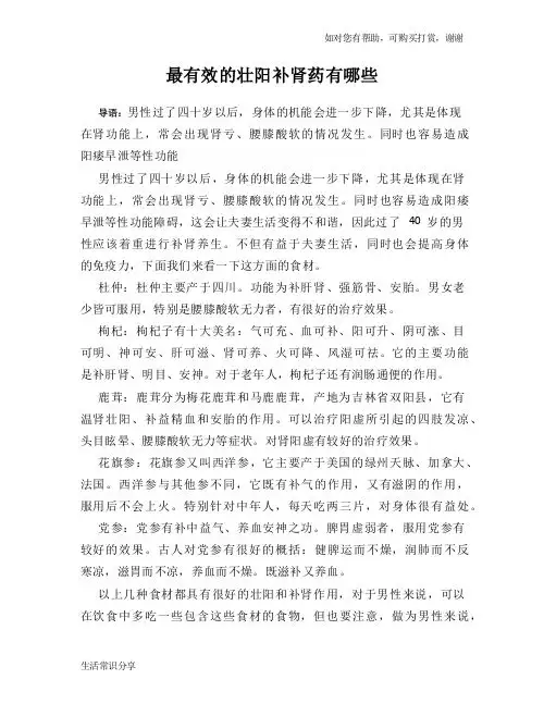 最有效的壮阳补肾药有哪些