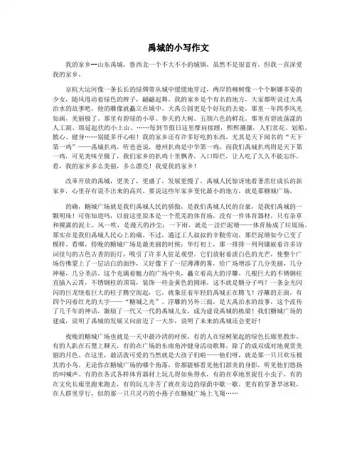 禹城的小写作文