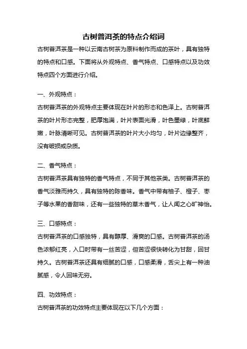 古树普洱茶的特点介绍词