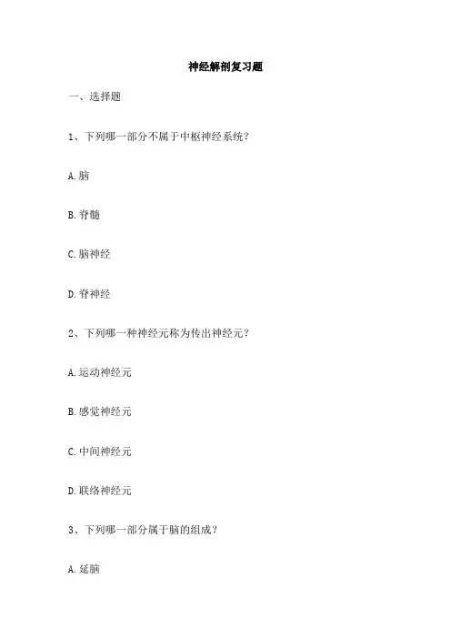 神经解剖复习题