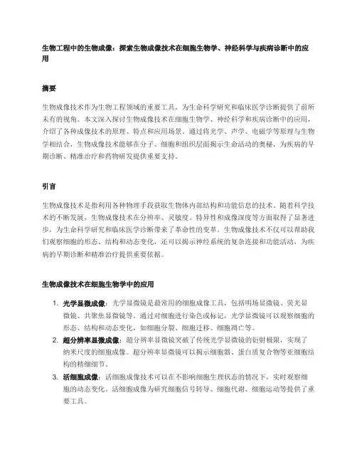 生物工程中的生物成像：探索生物成像技术在细胞生物学、神经科学与疾病诊断中的应用