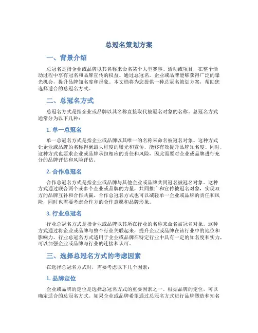 总冠名策划方案