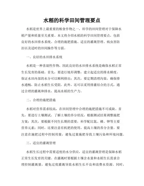 水稻的科学田间管理要点