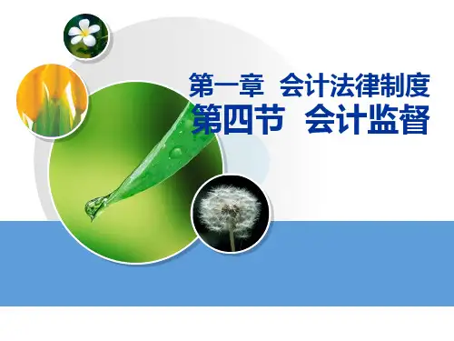 14会计监督.ppt