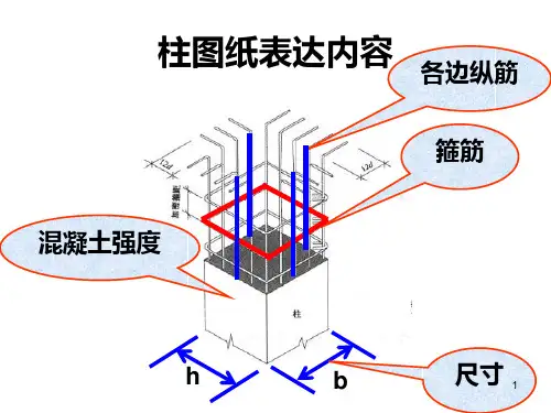 图解钢筋柱配筋ppt课件
