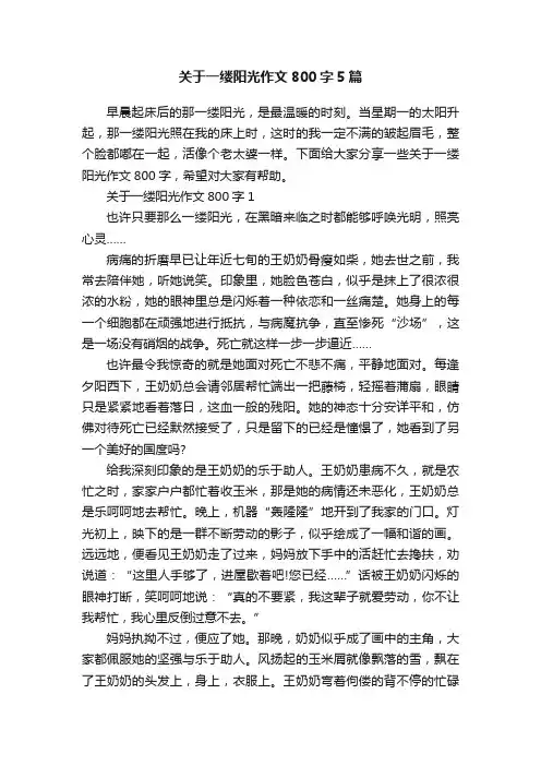 关于一缕阳光作文800字5篇