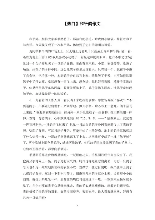 和平鸽作文精选范文