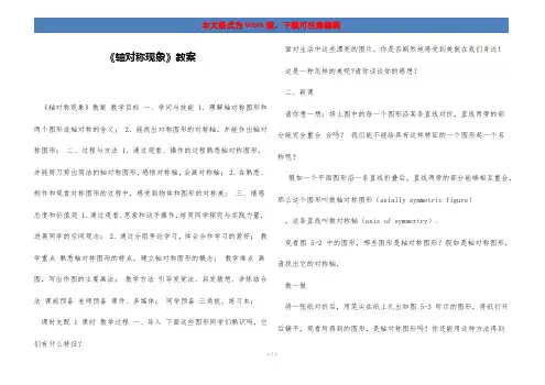 《轴对称现象》教案