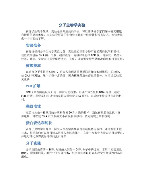 分子生物学实验