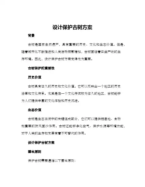 设计保护古树方案