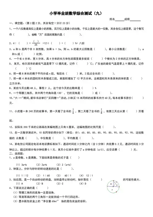小学毕业班数学综合测试(九)