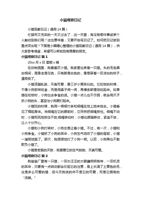 小猫观察日记（通用14篇）