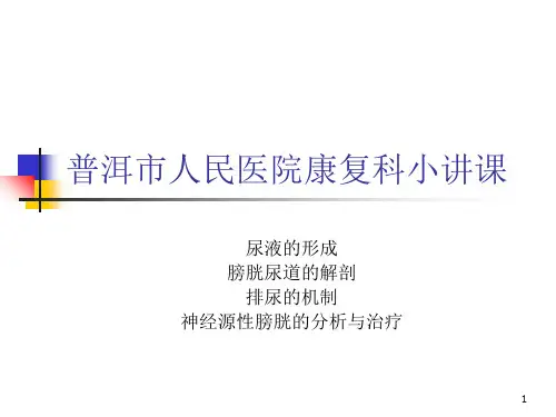 神经源性膀胱讲课PPT课件