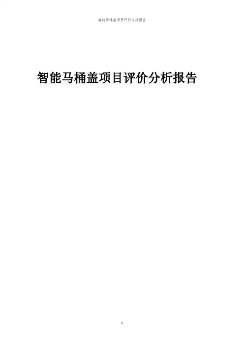 2023年智能马桶盖项目评价分析报告