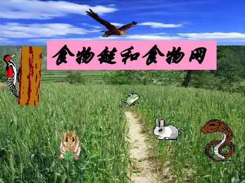 初中生物【食物链和食物网】优质课件