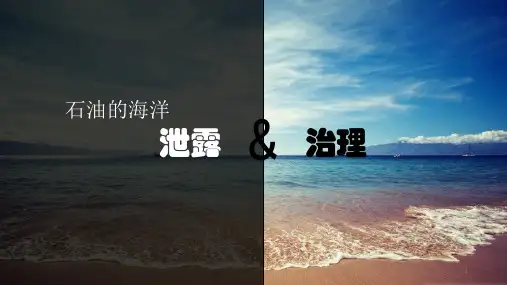 海洋的石油泄漏与处理ppt课件