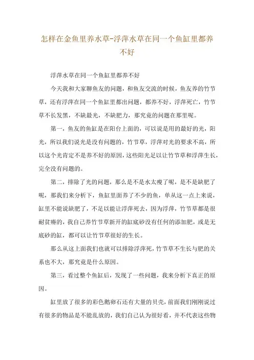 怎样在金鱼里养水草-浮萍水草在同一个鱼缸里都养不好