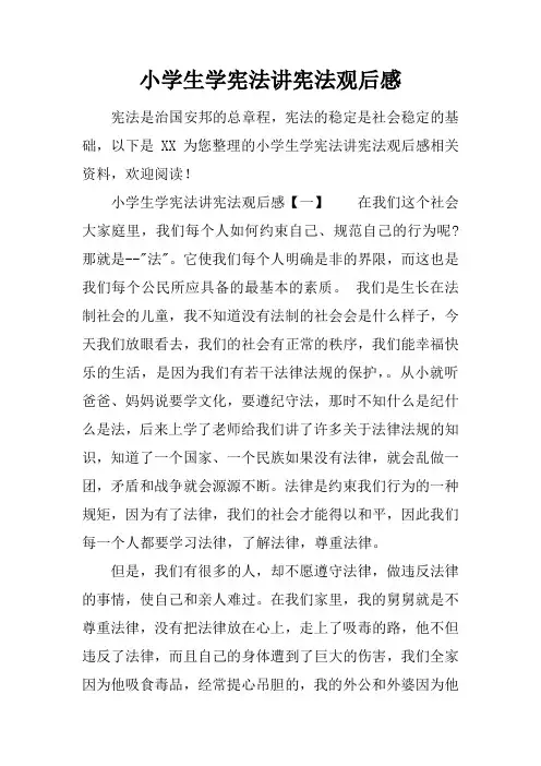 小学生学宪法讲宪法观后感